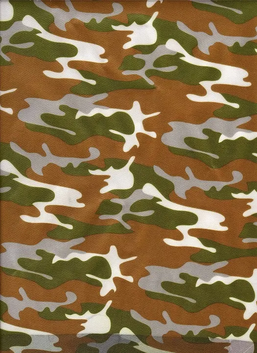 A-1.jpg